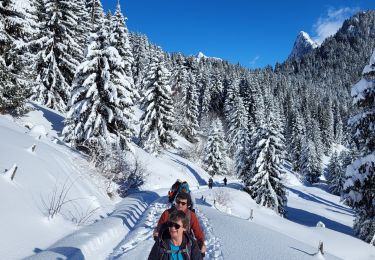 Randonnée Raquettes à neige La Chapelle-d'Abondance - Raquettes 5ème jour 14km - Photo