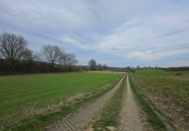 Tocht Stappen Voerendaal - Ubachsberg  - Photo