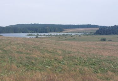 Excursión Senderismo Besse-et-Saint-Anastaise - Tour des lac Bourdouze, Pavin et Montcyneire - Photo