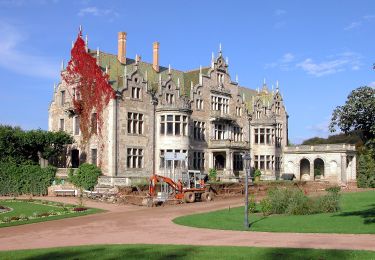 Tour Zu Fuß Bad Liebenstein - Rennsteig-Leiter Bad Liebenstein-Schweina-Steinbach - Photo