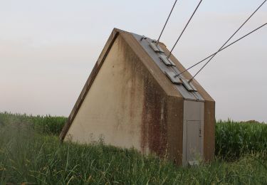 Tour Zu Fuß Postbauer-Heng - Kleine Dillbergrunde - Photo