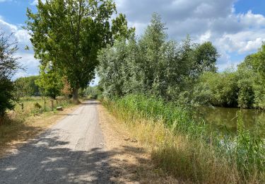 Trail Walking Frelinghien - Frelinghien Deule 13 km - Photo