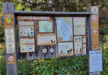 Randonnée Trail  - Whitefish Lupfer - Photo