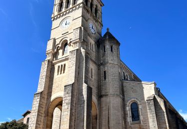 Tour Wandern Chénas - Chénas - Le Venet - Photo