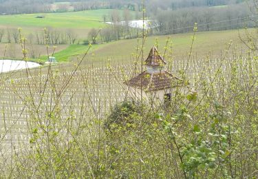 Randonnée V.T.T. Molières - Molières par Castelnau Montratier - Photo