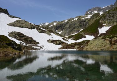Trail Walking Chamonix-Mont-Blanc - Hôtel la Flégère - GR TMB - Lacs de Chéserys - Photo