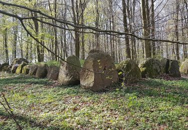 Percorso A piedi  - Varnæs Hoved stien - Photo