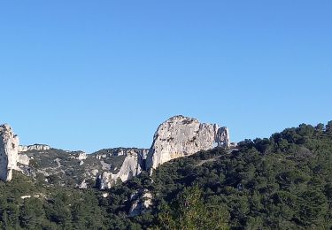 Tocht Stappen Saint-Rémy-de-Provence - Crêtes  des Alpilles/ Mont Gaussier  - Photo