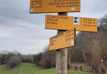 Trail Walking Arbois - Arbois-Pupillin - Photo