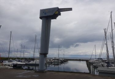 Trail On foot  - Aarøsund - Photo