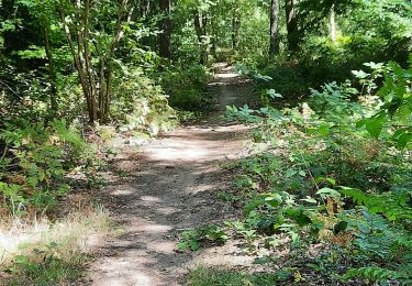 Tour Wandern Fumay - Fumay ardoises et légendes - Photo