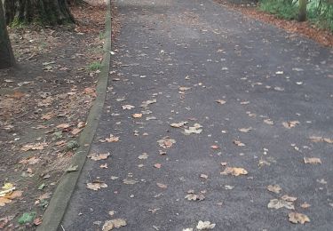 Tocht Stappen Rijsel - LILLE 2024 - Autour de la Citadelle  - Photo