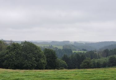 Trail Walking Vresse-sur-Semois - rando laforêt 23-08-2024 - Photo