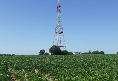 Tour Wandern Yvoir - bruno carlier - Photo