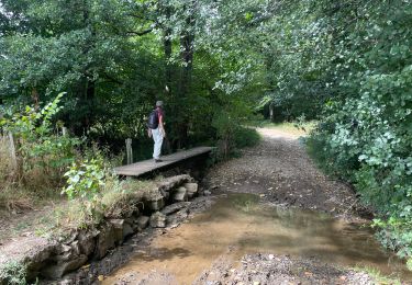 Trail Walking Marche-en-Famenne - Verenne (marche) - Photo