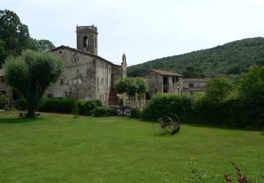 Randonnée A pied Sant Ferriol - El Santuari del Collell: Presó de Guerra - Photo