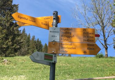 Excursión A pie Schwarzenberg - Sonnhalde - Linden - Meiestoss - Moos - Photo