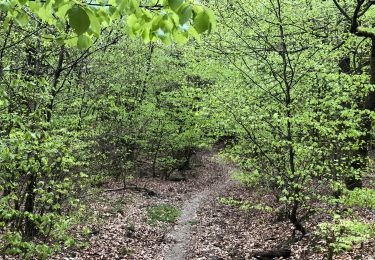 Tour Wandern Martelingen - Fauviller - Photo