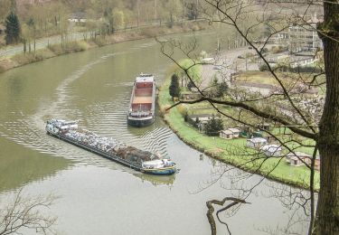 Tour Zu Fuß Hirschhorn - Rundwanderweg Hirschhorn Igelsbach 2: Langer-Wald-Weg - Photo