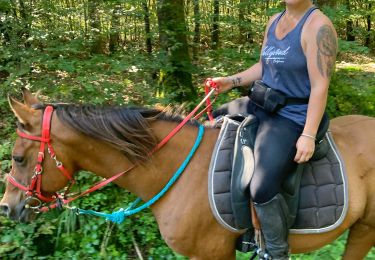 Trail Horseback riding Domèvre-sur-Vezouze - Equiplaine 21 septembre 24 cavaliers  - Photo