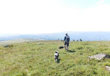 Trail Walking Valcivières - MONTHIALIER COL DU CHANCER - Photo