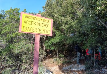 Tour Wandern Solliès-Ville - Coudon - Photo