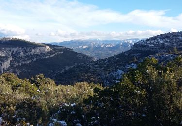 Tocht Te voet Roquevaire - Mont du Marseillais et le Puits de l'Aroumi  - Photo