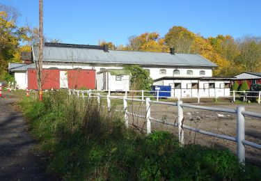 Tocht Te voet  - Jungfrusundsåsen 5km motionsspår - Photo