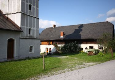 Tour Zu Fuß Michaelerberg-Pruggern - Laufrunde Enns 1 - Photo