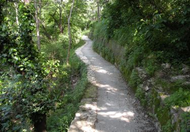 Randonnée A pied Gênes - San Gottardo - Forte Diamante (AQ1) - Photo