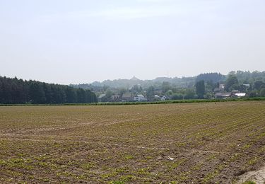 Trail Walking Braine-l’Alleud - 2019-05-18 Maison Waterloo Rhode retour 18 km - Photo