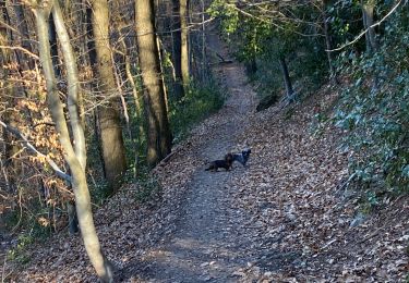 Tocht Stappen Baelen - La gileppe et alentours  - Photo