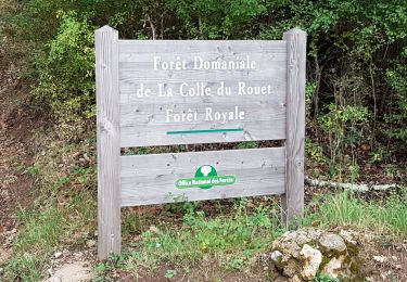 Tour Wandern Bagnols-en-Forêt - SAINT PAUL EN FORÊT - VERS LE LAC DE MEAULX - Photo