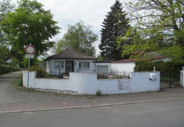 Randonnée A pied Niedernhausen - Wildpark: Lindenblatt - Photo