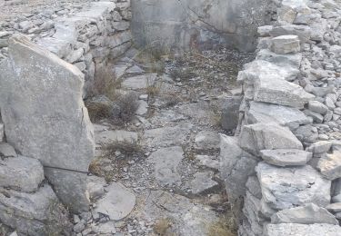 Tocht Stappen Viols-le-Fort - rocher + dolmen  - Photo