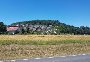 Tour Zu Fuß Werbach - Rundwanderweg Gamburg 2 - Photo