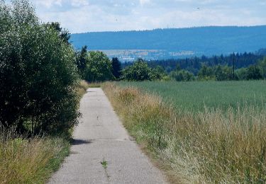 Trail On foot Karlsbad - Spielberg: Waldkulturpfad - Gscheidweg - Photo