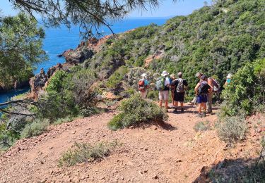 Trail Walking Saint-Raphaël - Les Ferrieres depuis la Necropole de Boul... - Photo