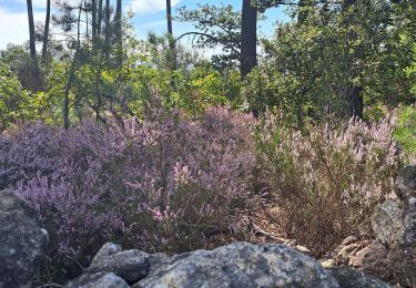 Tour Wandern Largentière - Montréal 07 - Photo