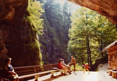 Trail On foot Bad Aussee - Koppental Wanderweg - Photo