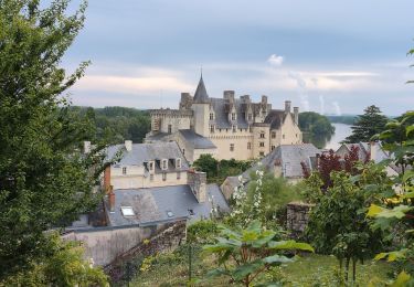 Tour Wandern Montsoreau - Montsoreau - Candes-Saint-Martin Fontevraud-l'Abbaye - 24.4km 435m 5h40 (45mn) - 2024 07 14 - Photo