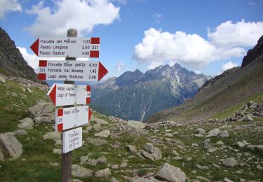 Percorso A piedi Ziano di Fiemme - Sentiero alpinistico attrezzato 