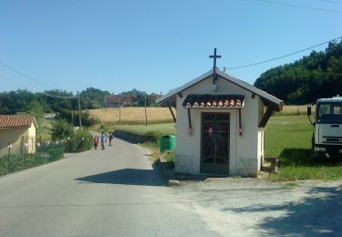 Percorso A piedi Arzignano - Sentiero Blu - Photo