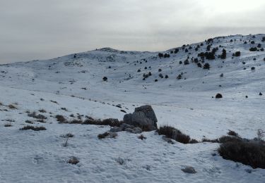 Tocht Sneeuwschoenen Gréolières - Greoliere Croix de verse - Photo