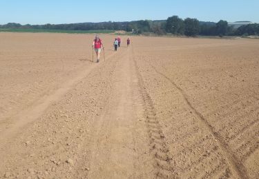 Tocht Noords wandelen Dalhem - Bombaye_20_09_2020 - Photo