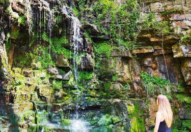 Excursión Senderismo Comblain-au-Pont - Promenade vers les cascades de Chanxhe  - Photo