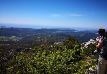 Trail Walking Plan-d'Aups-Sainte-Baume - Le Pic de Bertagne - Photo