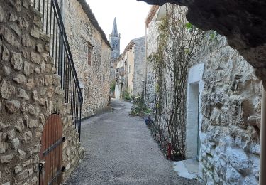 Randonnée Marche Rochefort-en-Valdaine - Moulin Neuf-Montjoyer-Citelles 15km. - Photo