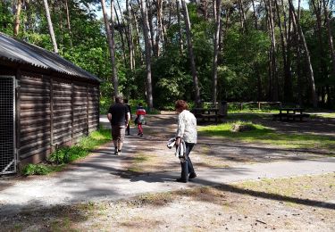 Excursión Senderismo Belœil - stambruges - Photo