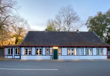 Tocht Te voet Onbekend - Terassenweg [Boberger Niederung] - Photo